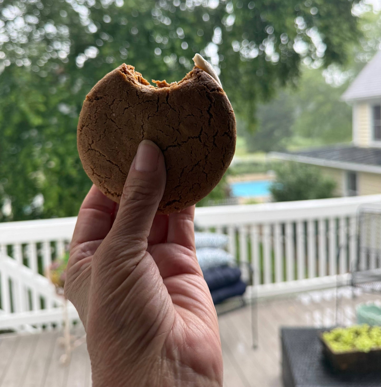 Oatmeal Cream Sandwich Cookie 