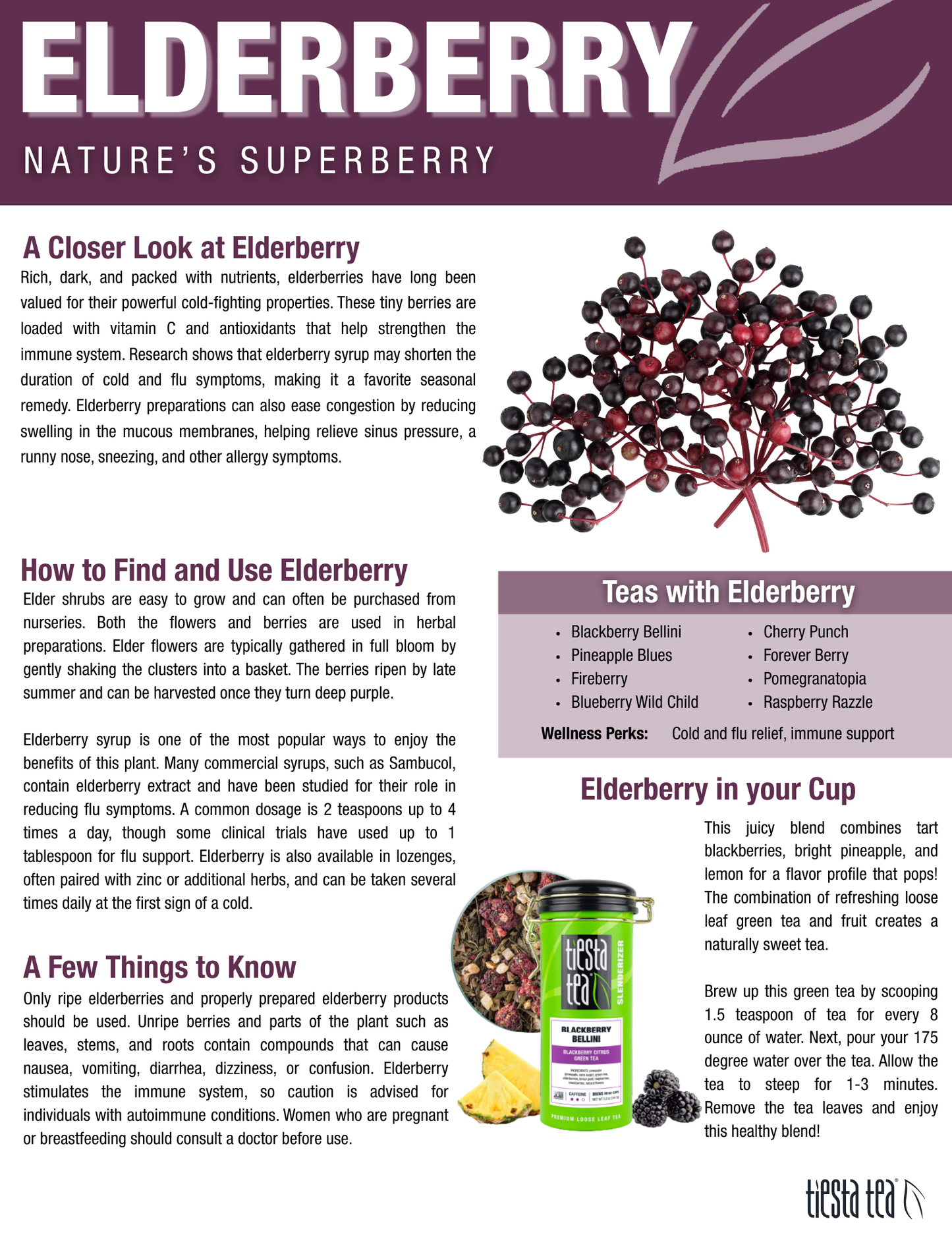 Blueberry Wild Child - Blueberry Hibiscus Herbal Tea